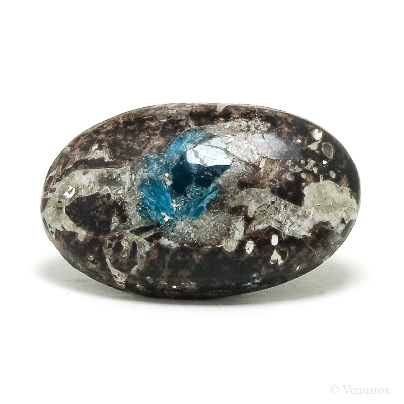 Cavansite in Matrix Polished Crystal from India | Venusrox
