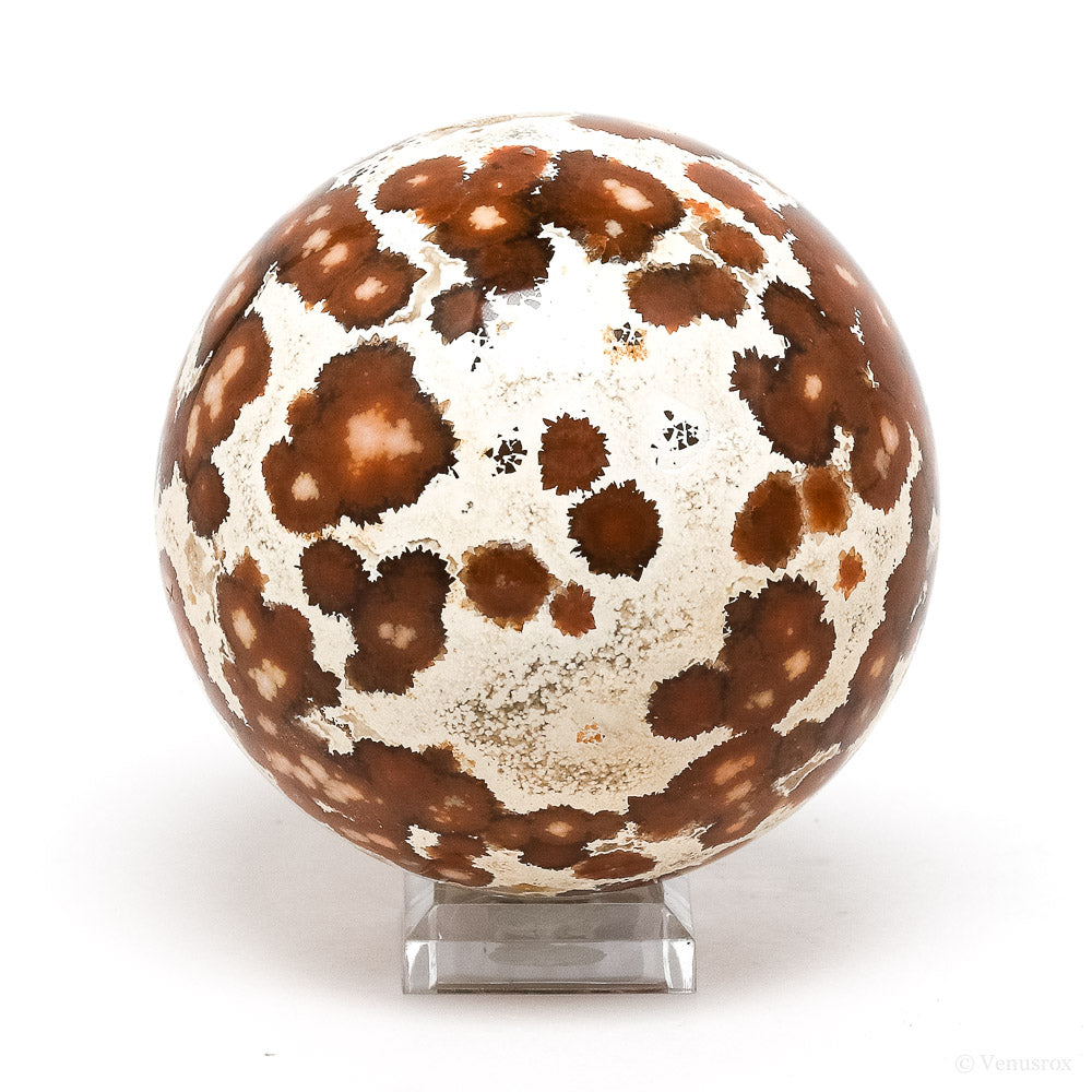 Ocean Jasper Part Polished/Part Natural Sphere from Madagascar | Venusrox