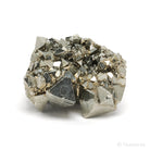 Pyrite Natural Cluster from the Huanzala Mine, Huallanca District, Dos de Mayo Province, Huánuco Department, Peru | Venusrox