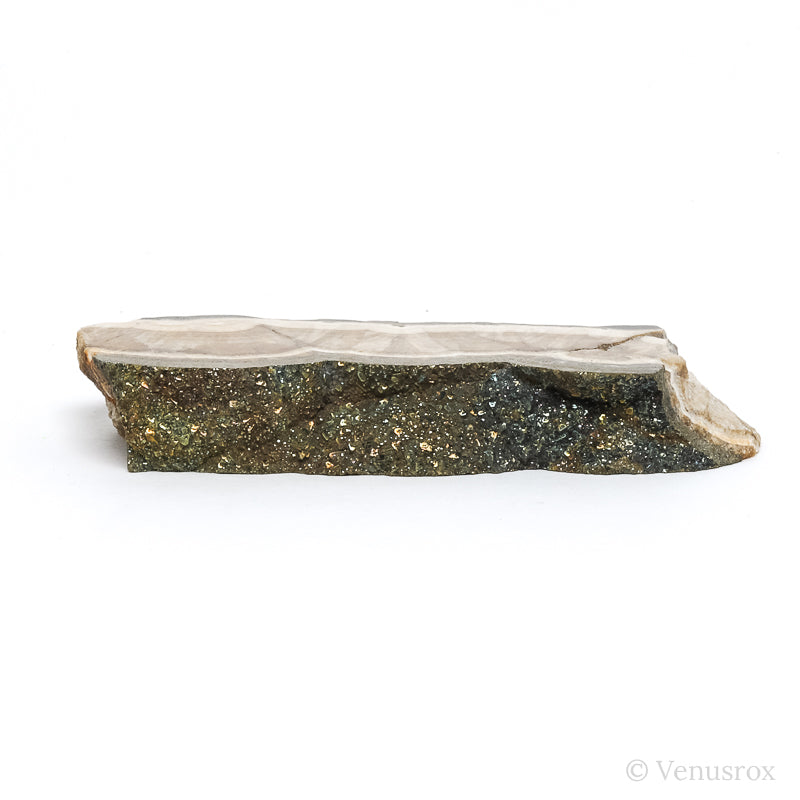Barite & Marcasite Part Polished/Part Natural Crystal from the Lubin Mine, Silezia, Poland | Venusrox