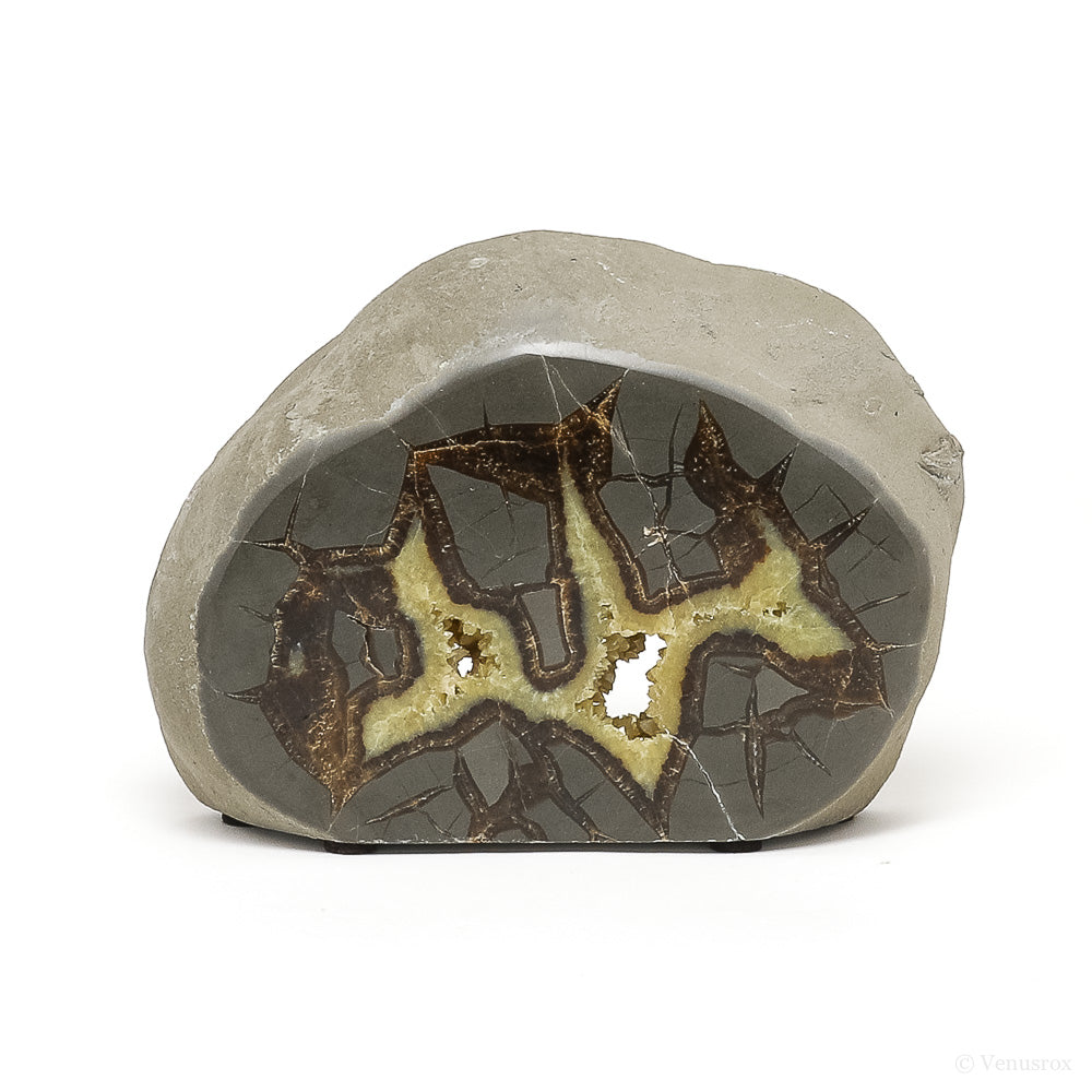Septarian Geode Part Polished/Part Natural Slice from Utah, USA | Venusrox