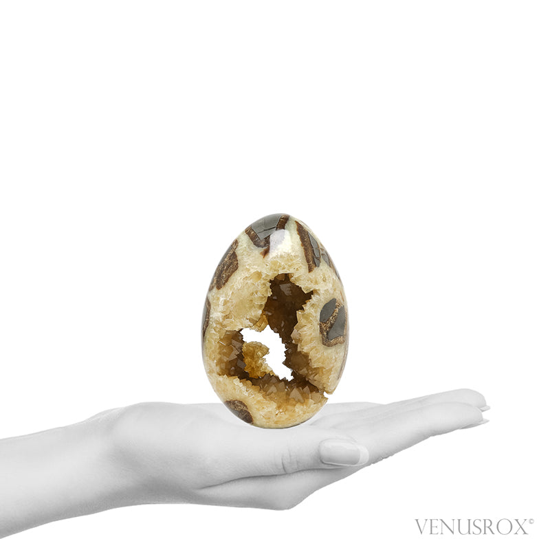 Septarian Geode Egg from Utah, USA | Venusrox
