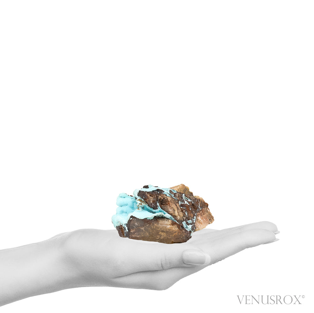 Chrysocolla with Clear Quartz & Matrix Natural Crystal from the Tenke-Fungurume Area, Lualaba, Democratic Republic of the Congo | Venusrox