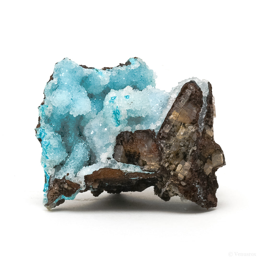 Chrysocolla with Malachite, Clear Quartz & Matrix Natural Crystal from the Tenke-Fungurume Area, Lualaba, Democratic Republic of the Congo | Venusrox