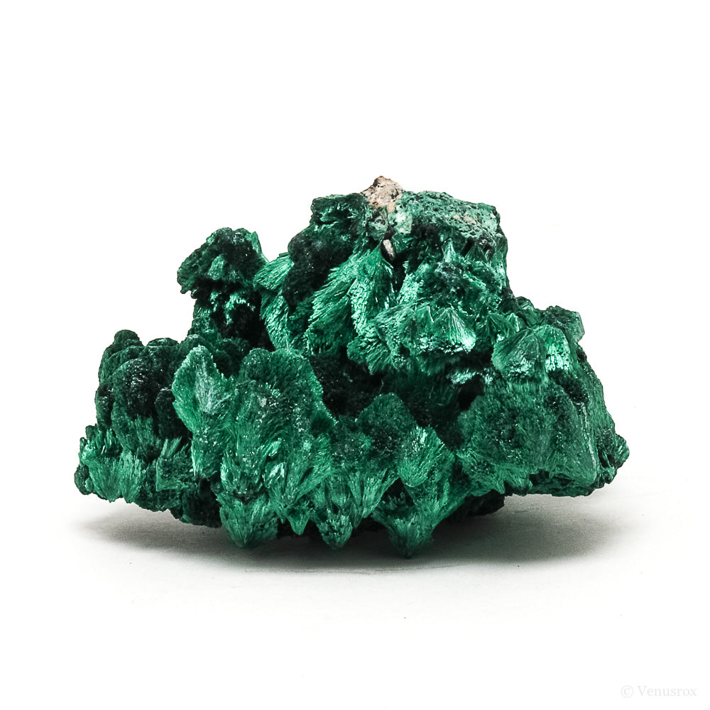 Fibrous Malachite Natural Crystal from the Luishia Mine, Katanga Province, Democratic Republic of Congo | Venusrox