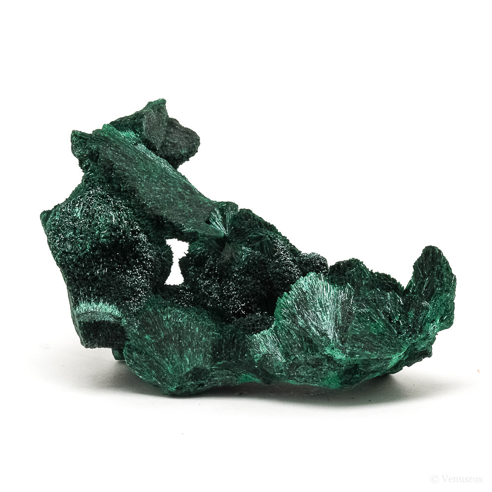 Fibrous Malachite Natural Crystal from the Luishia Mine, Katanga Province, Democratic Republic of Congo | Venusrox