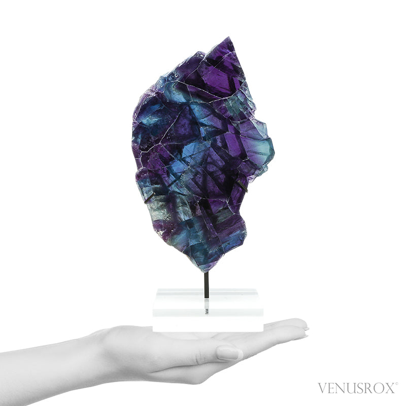 Fluorite Part Polished/Part Natural Slice from Mexico, mounted on a bespoke stand | Venusrox