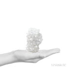 Apophyllite Natural Cluster from Maharashtra, India | Venusrox