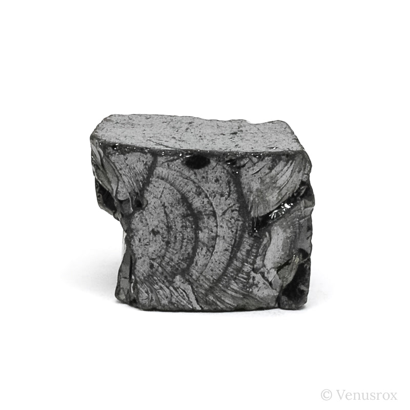 Shungite from Shunga, Karelia, Russia | Venusrox