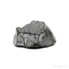 Elite Shungite from Shunga, Karelia, Russia | Venusrox