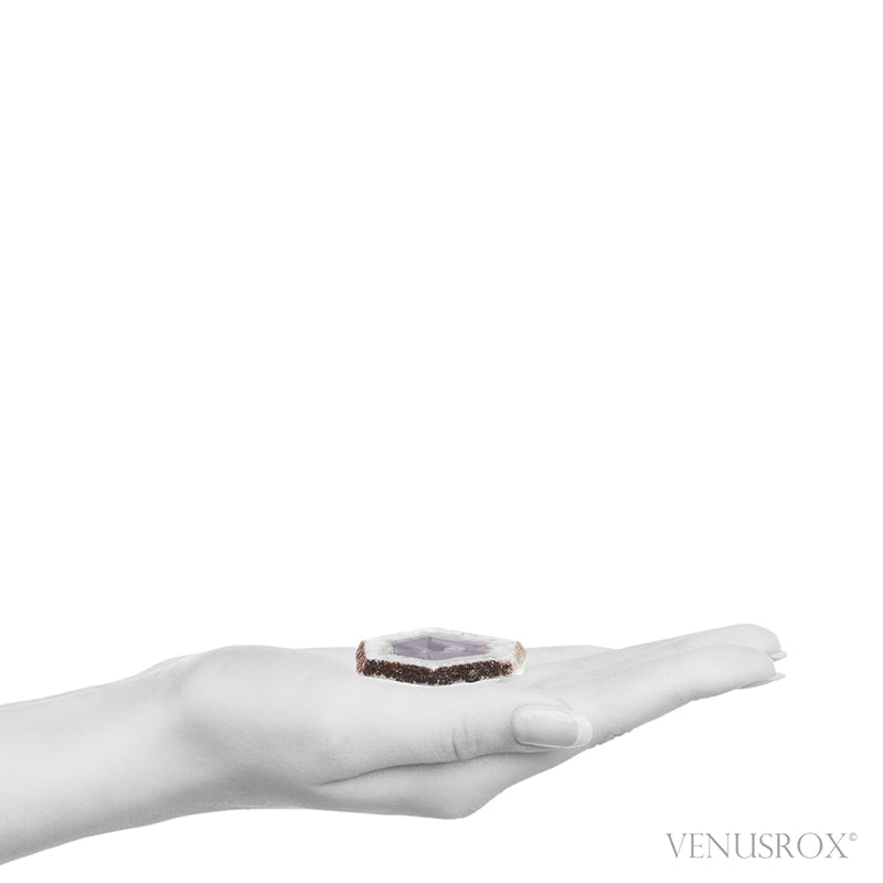Amethyst Trapiche Polished/Natural Crystal from Rondônia, Brazil | Venusrox