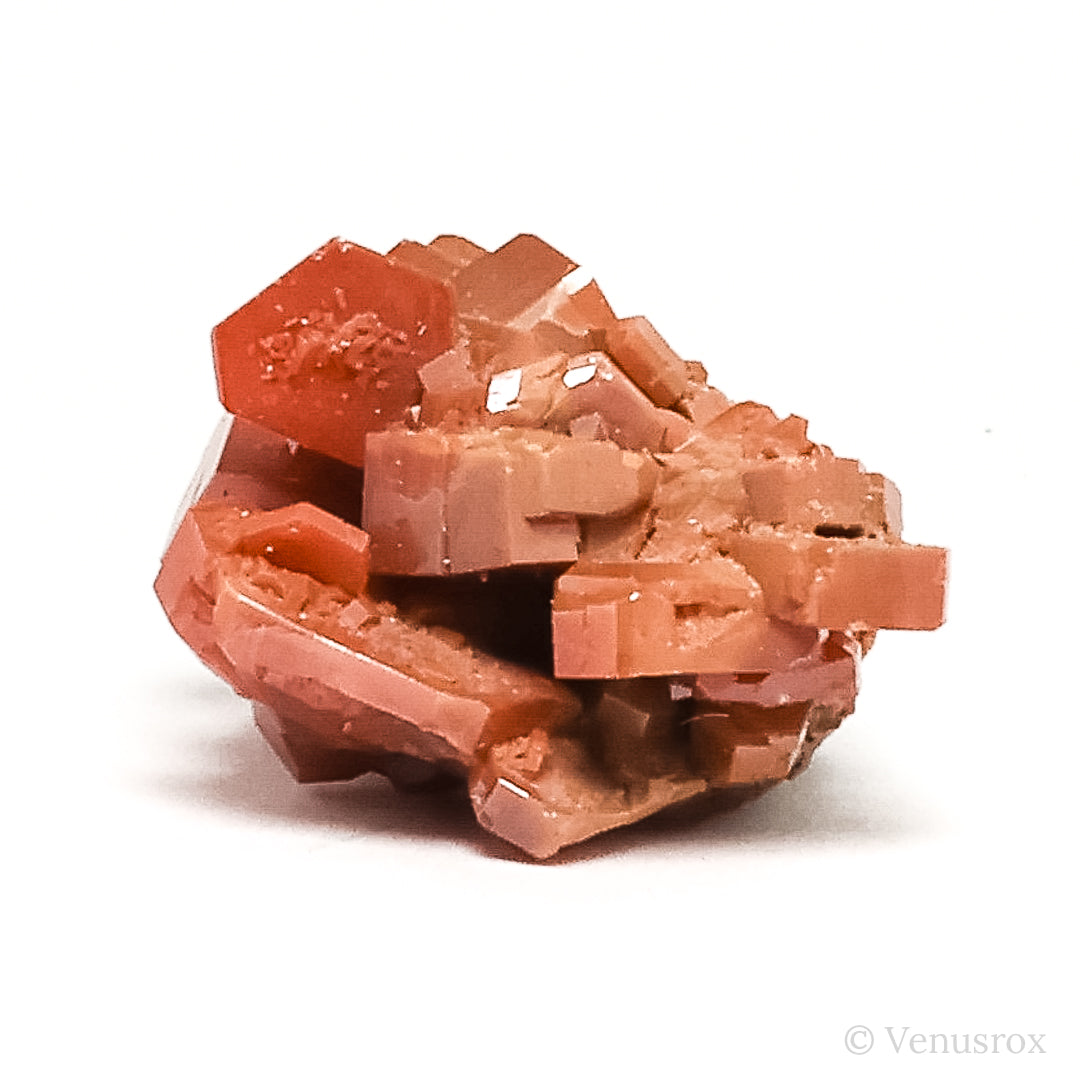 Vanadinite on Matrix Natural Cluster from Mibladen, Midelt, Meknes-Tafilalet Region, Morocco | Venusrox