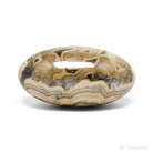 Schalenblende Polished Crystal from Olkusz, Poland | Venusrox