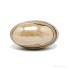 Schalenblende Polished Crystal from Olkusz, Poland | Venusrox