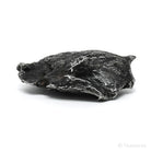 Sikhote-Alin Meteorite Shrapnel Fragment from the Sikhote-Alin Mountains, Russia | Venusrox