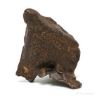 Gebel Kamil Meteorite Natural Fragment from Southern Egypt | Venusrox