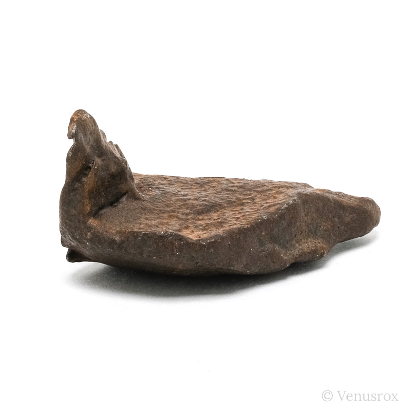 Gebel Kamil Meteorite Natural Fragment from Southern Egypt | Venusrox