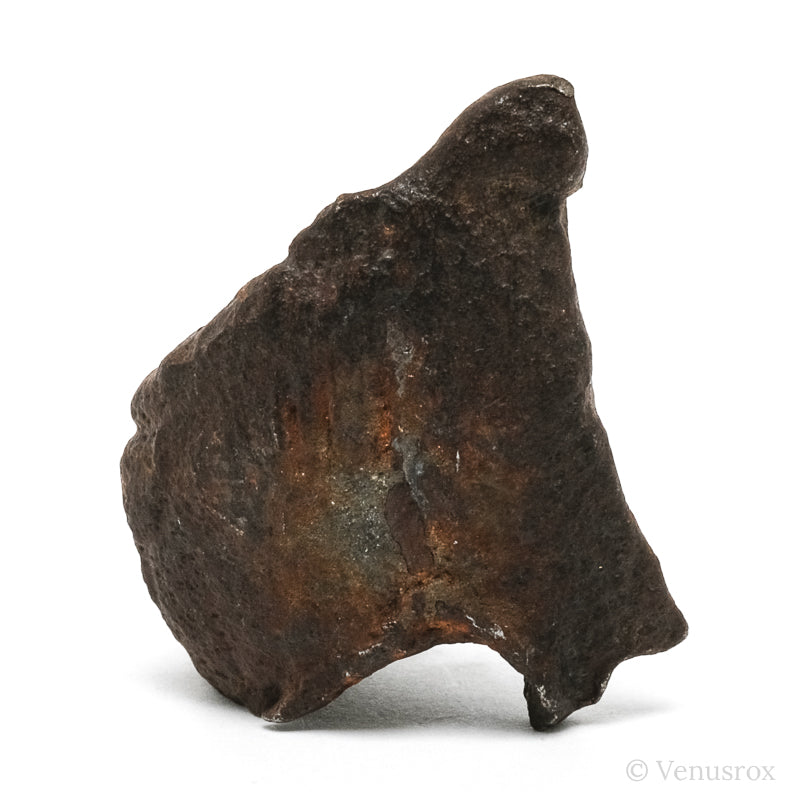 Gebel Kamil Meteorite Natural Fragment from Southern Egypt | Venusrox