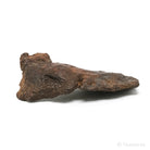 Gebel Kamil Meteorite Natural Fragment from Southern Egypt | Venusrox