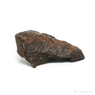 Gebel Kamil Meteorite Natural Fragment from Southern Egypt | Venusrox