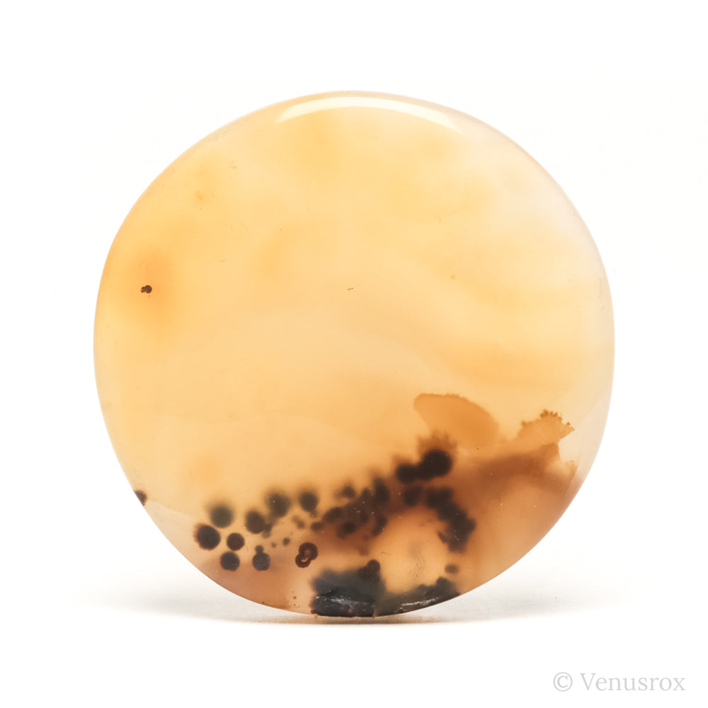 Dendritic Agate Polished Crystal from Madagascar | Venusrox