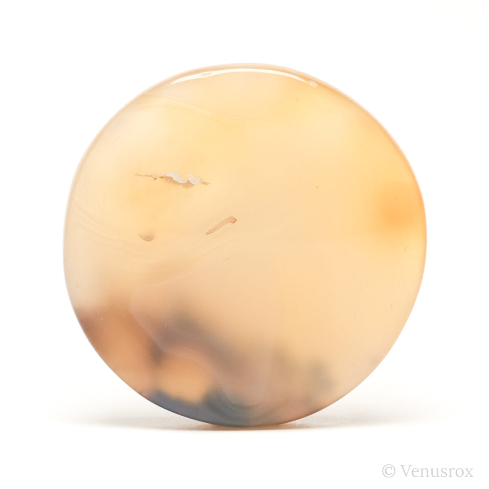 Dendritic Agate Polished Crystal from Madagascar | Venusrox