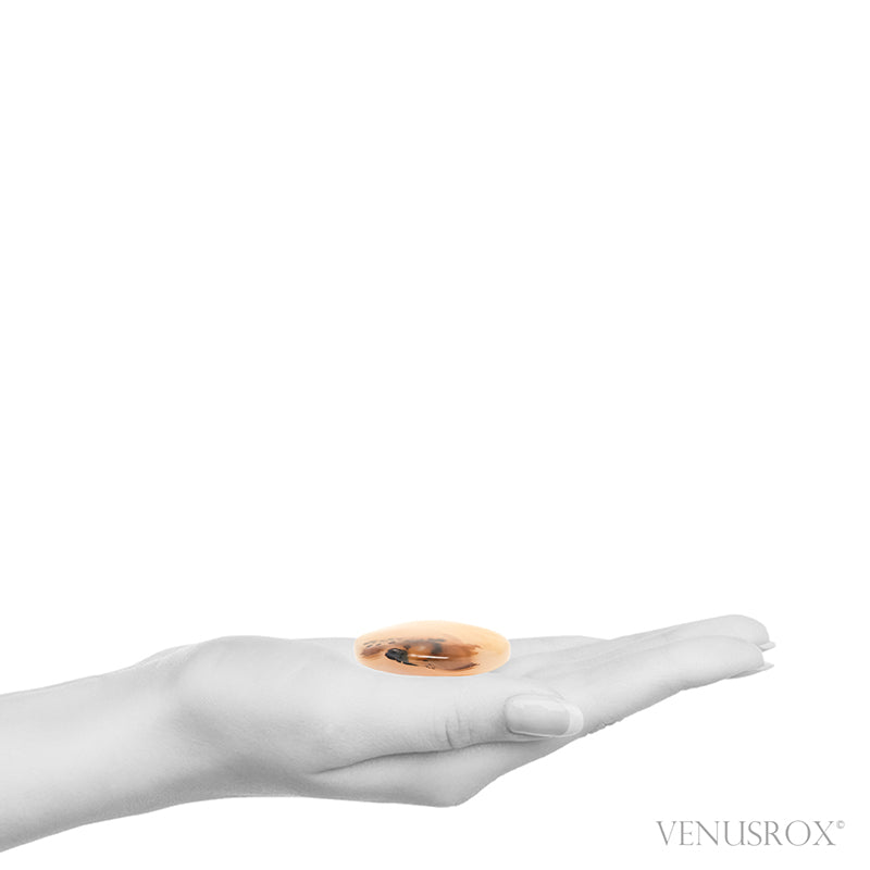 Dendritic Agate Polished Crystal from Madagascar | Venusrox