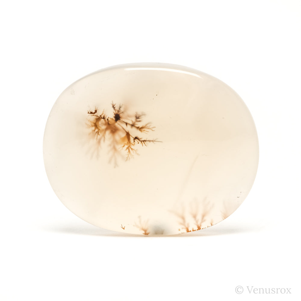 Dendritic Agate Polished Crystal from Madagascar | Venusrox