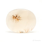 Dendritic Agate Polished Crystal from Madagascar | Venusrox