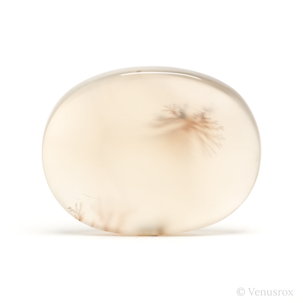 Dendritic Agate Polished Crystal from Madagascar | Venusrox
