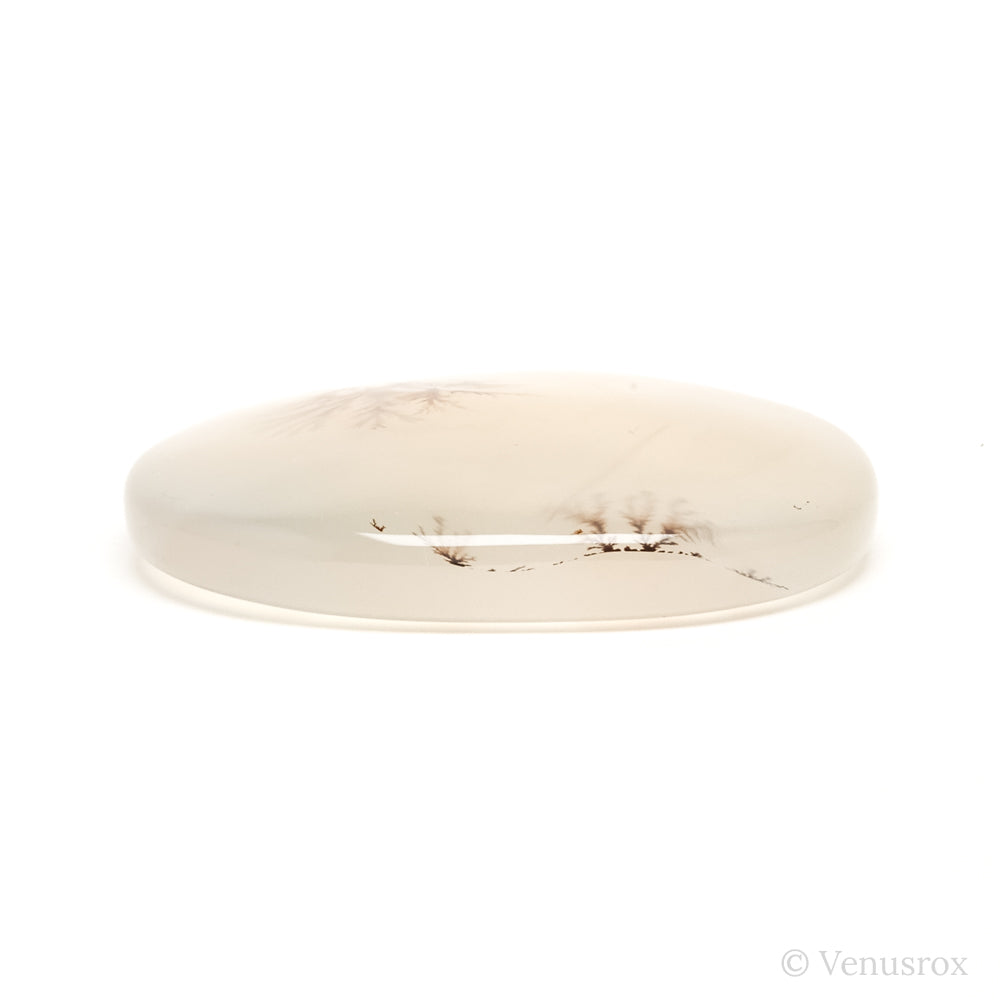 Dendritic Agate Polished Crystal from Madagascar | Venusrox