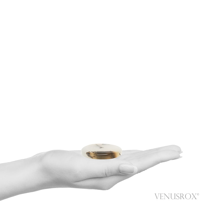 Dendritic Agate Polished Crystal from Madagascar | Venusrox