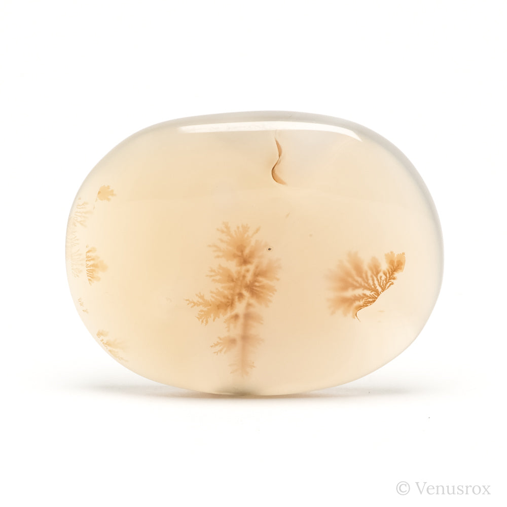 Dendritic Agate Polished Crystal from Madagascar | Venusrox