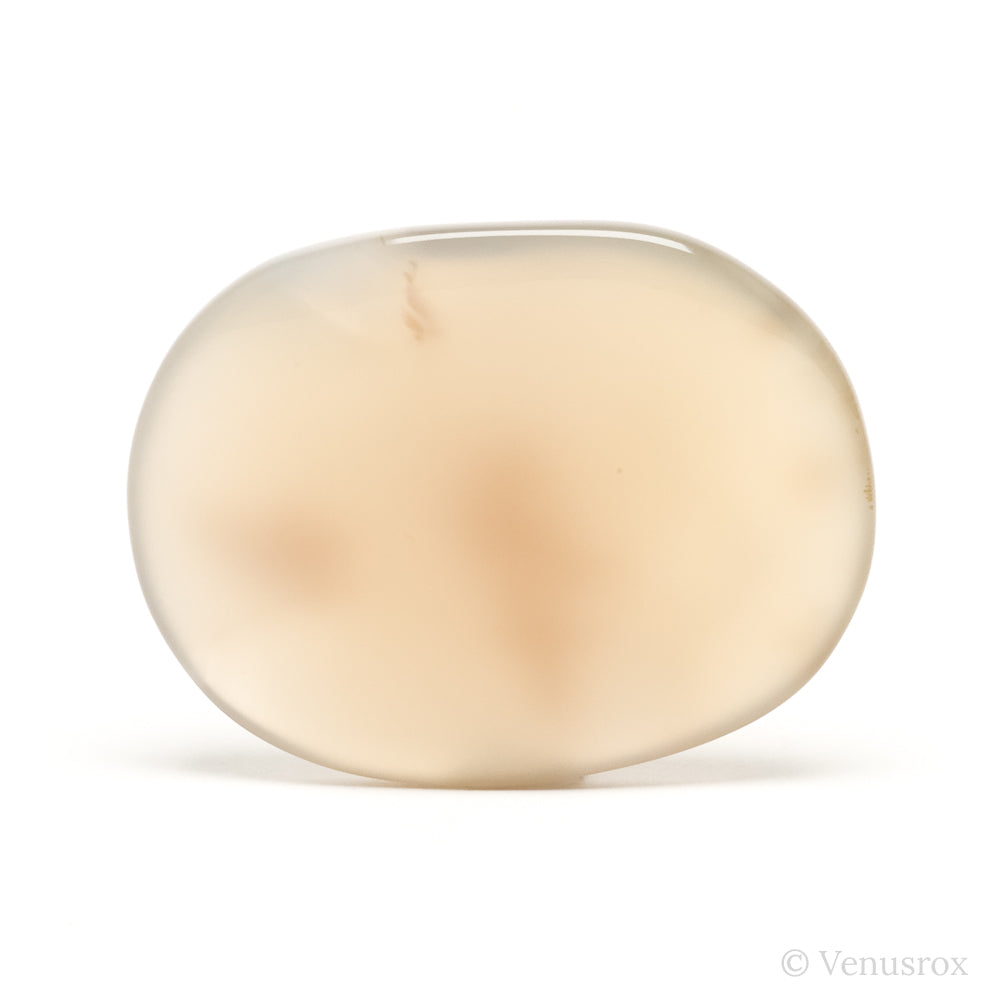 Dendritic Agate Polished Crystal from Madagascar | Venusrox