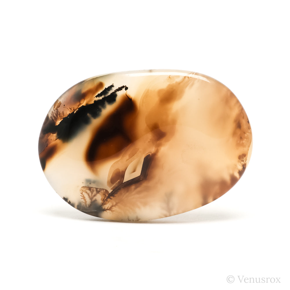 Dendritic Agate Polished Crystal from Madagascar | Venusrox