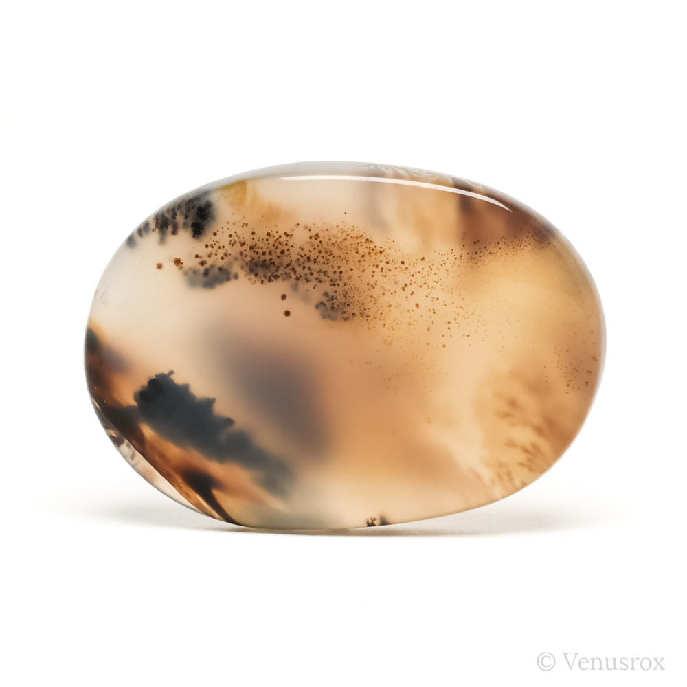 Dendritic Agate Polished Crystal from Madagascar | Venusrox