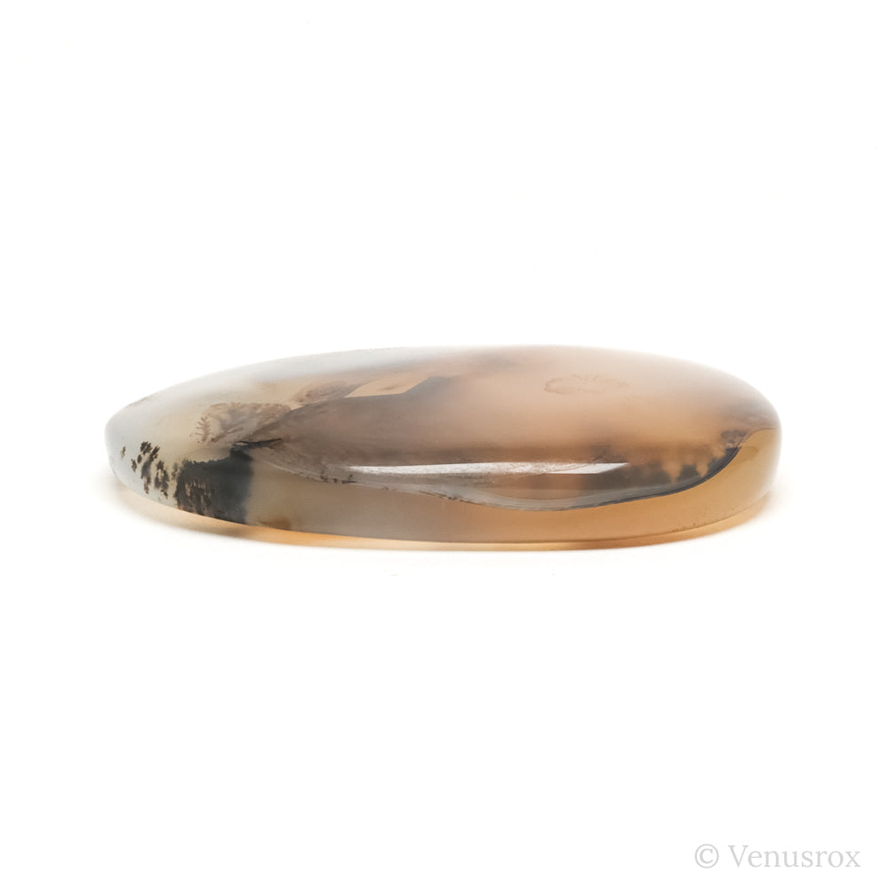 Dendritic Agate Polished Crystal from Madagascar | Venusrox