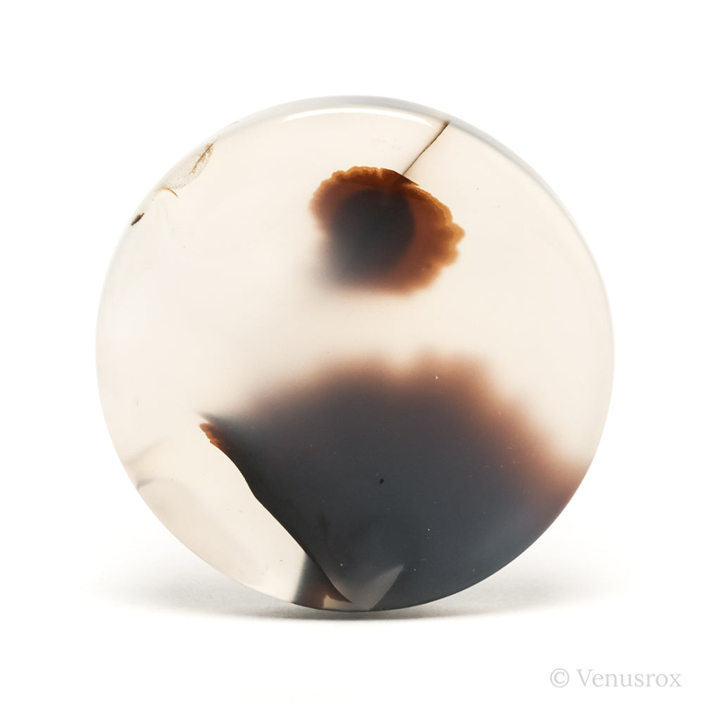 Dendritic Agate Polished Crystal from Madagascar | Venusrox