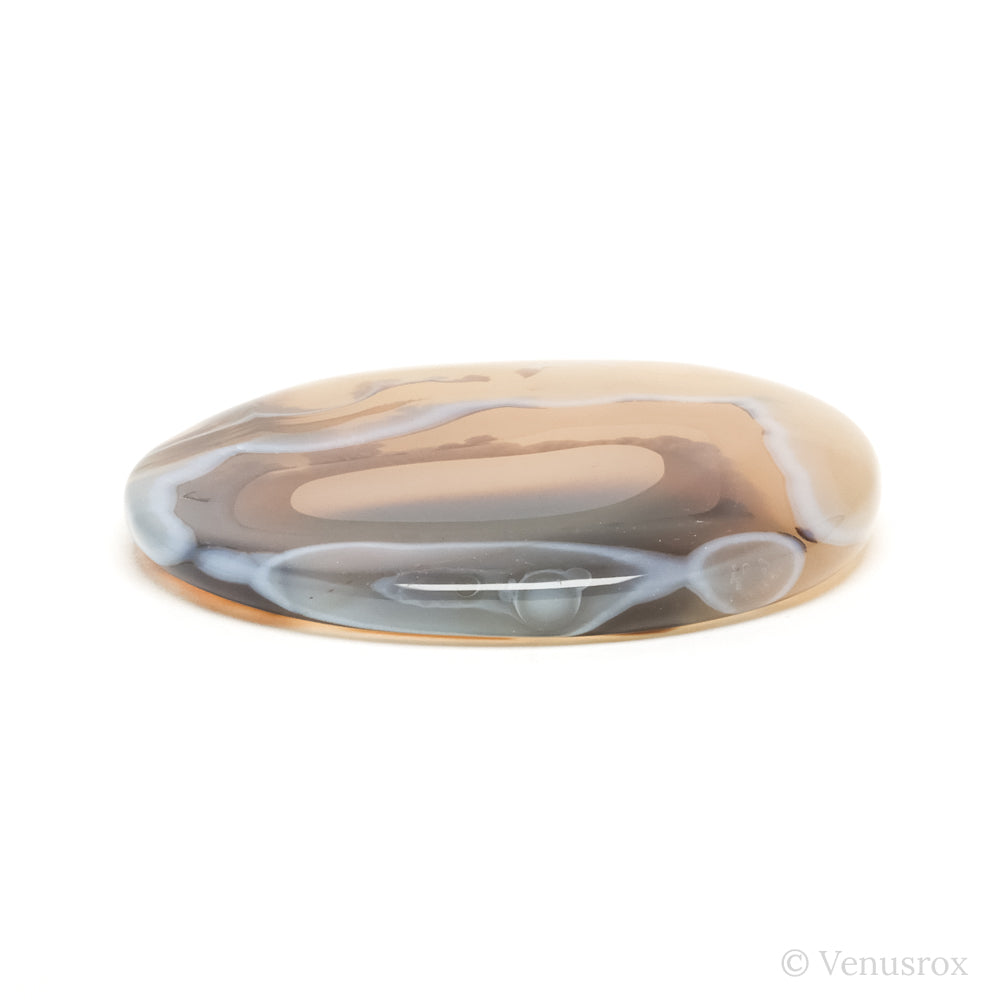 Dendritic Agate Polished Crystal from Madagascar | Venusrox