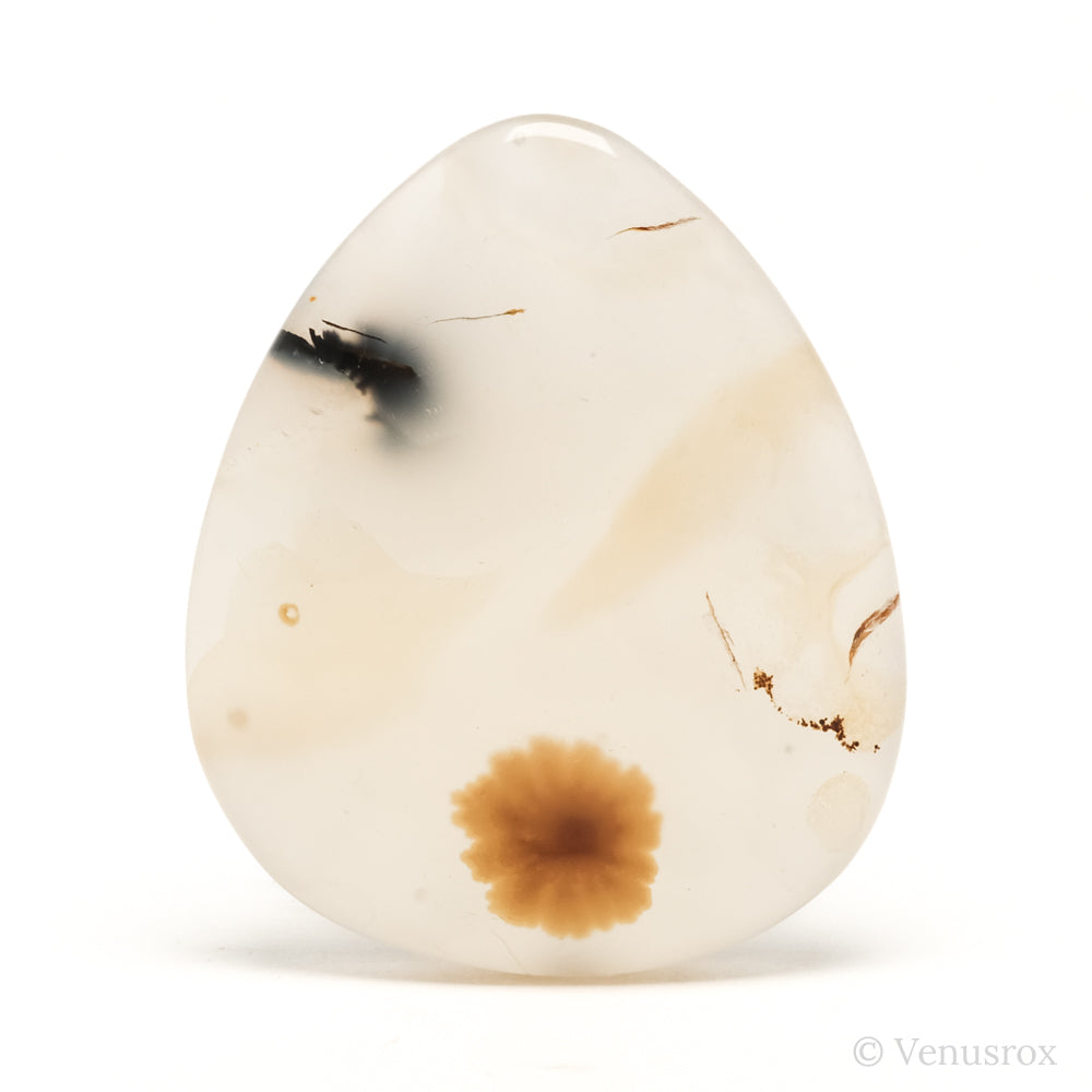 Dendritic Agate Polished Crystal from Madagascar | Venusrox