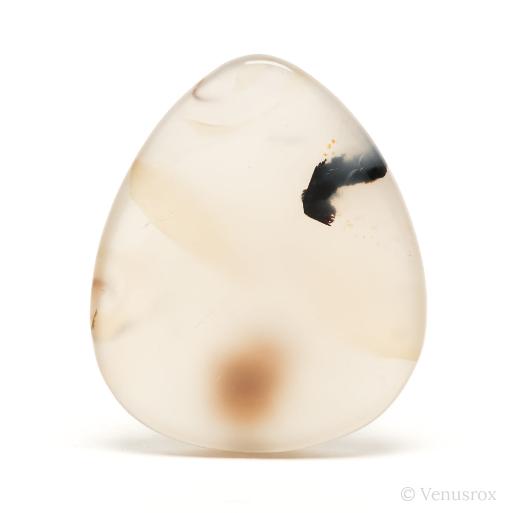 Dendritic Agate Polished Crystal from Madagascar | Venusrox