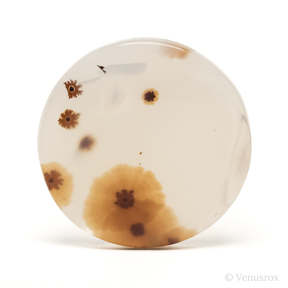 Dendritic Agate Polished Crystal from Madagascar | Venusrox
