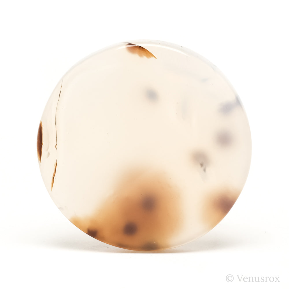 Dendritic Agate Polished Crystal from Madagascar | Venusrox