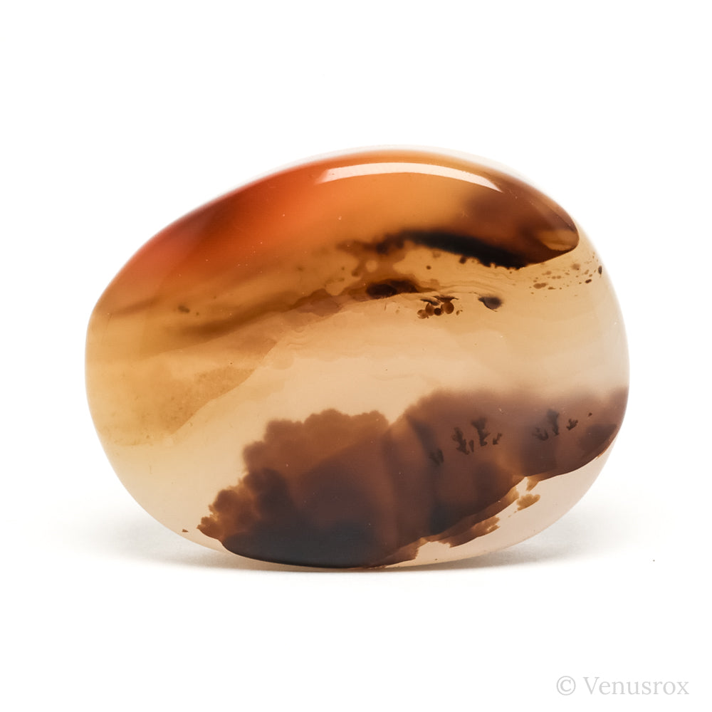 Dendritic Agate Polished Crystal from Madagascar | Venusrox