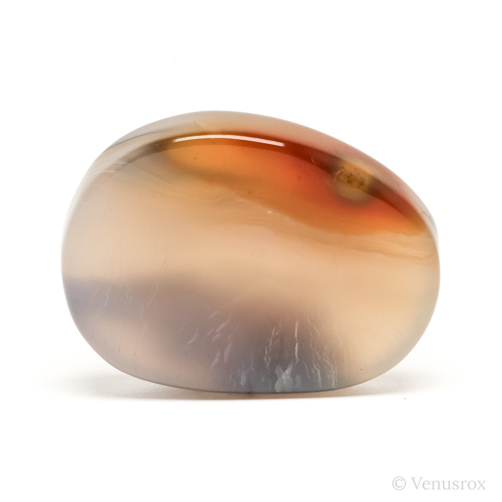 Dendritic Agate Polished Crystal from Madagascar | Venusrox