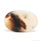 Dendritic Agate Polished Crystal from Madagascar | Venusrox