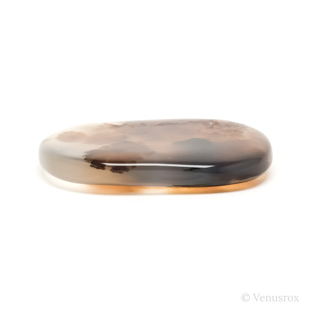 Dendritic Agate Polished Crystal from Madagascar | Venusrox