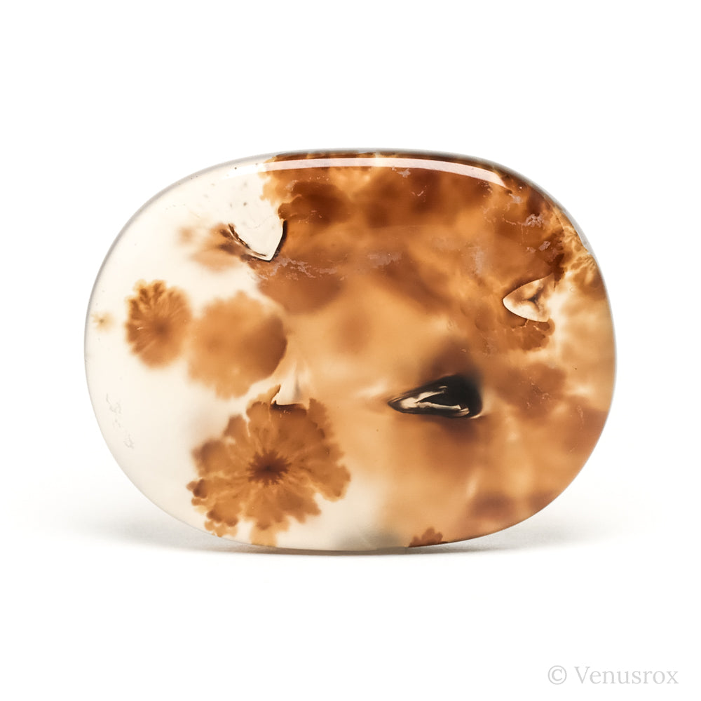 Dendritic Agate Polished Crystal from Madagascar | Venusrox