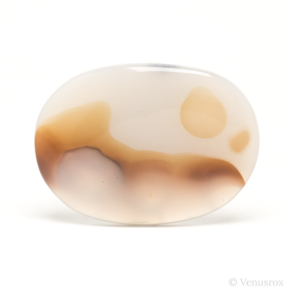 Dendritic Agate Polished Crystal from Madagascar | Venusrox