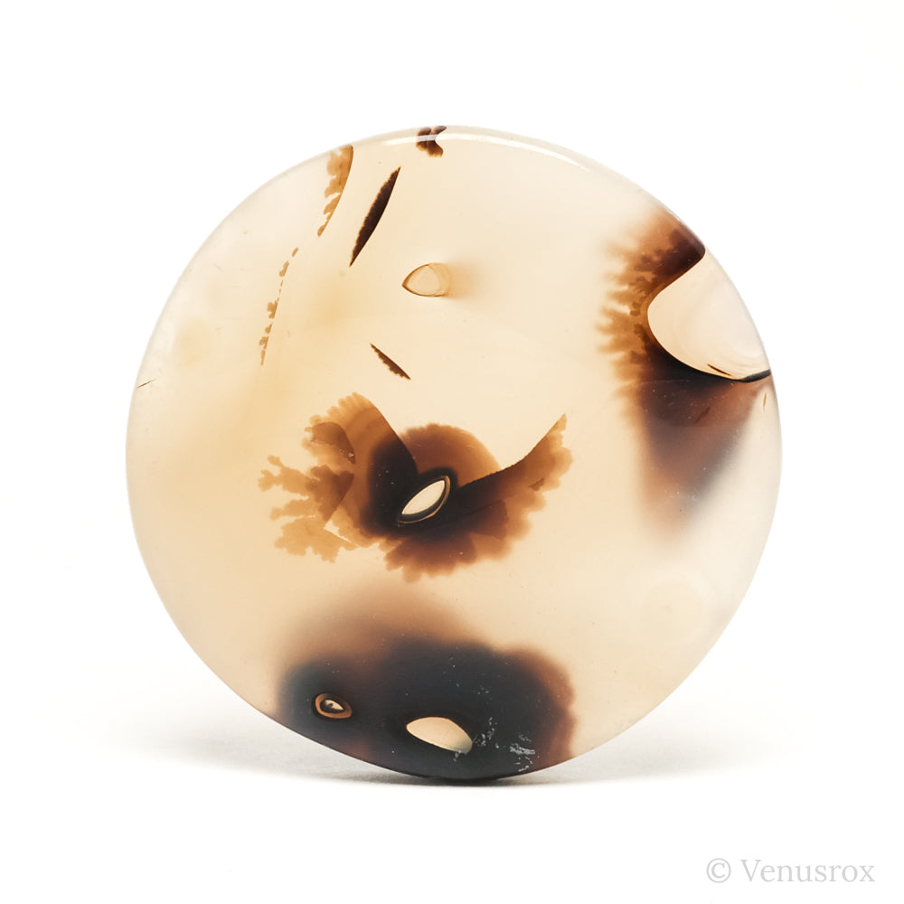 Dendritic Agate Polished Crystal from Madagascar | Venusrox